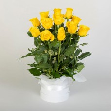 Rose Lover in Yellow